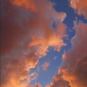 Meet your Posher, Arden